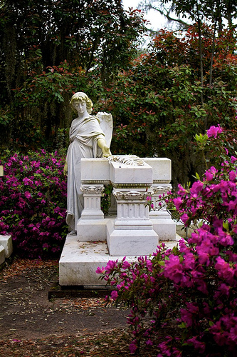 Savannah Monday 24