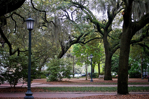 Savannah Monday 236