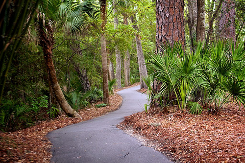 Savannah Tuesday 39