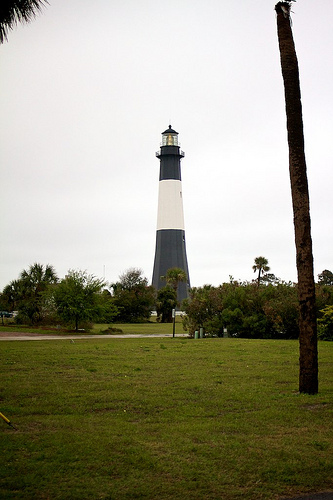 Savannah Wednesday 31