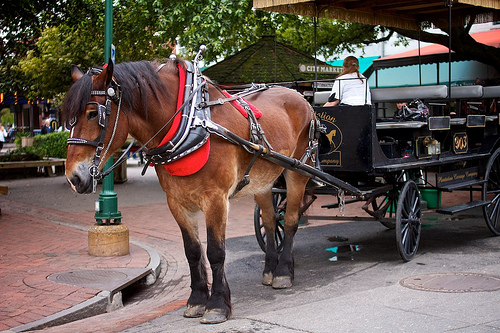 Savannah Thursday 21