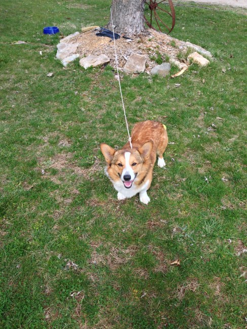 2013-03-31 15.06.14 HDR