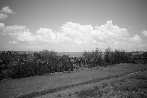 Florida 2010  7247