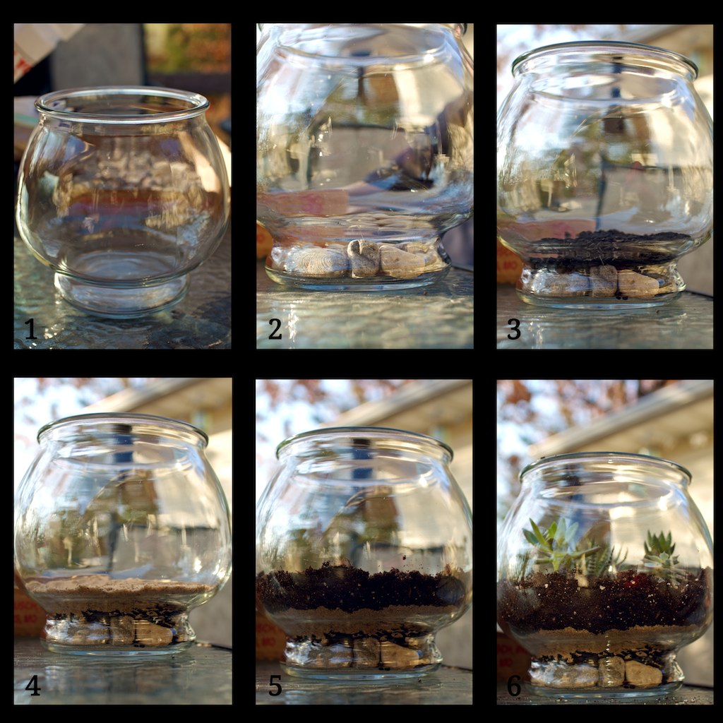 Terrarium Layers